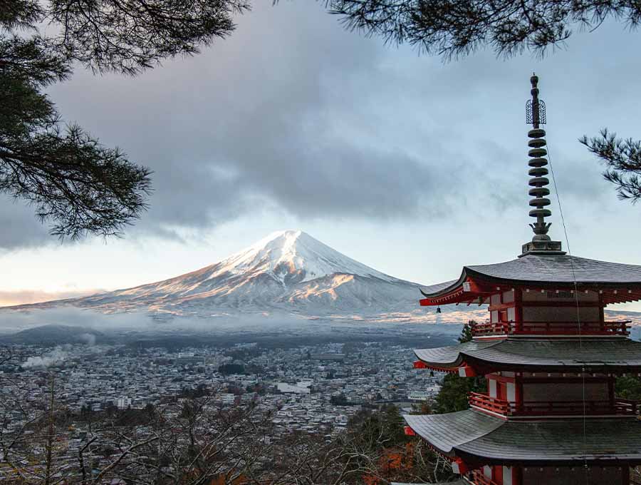 Bio Matcha in der Schweiz: das Geheimnis für natürliche Energie und bewusstes Wohlbefinden